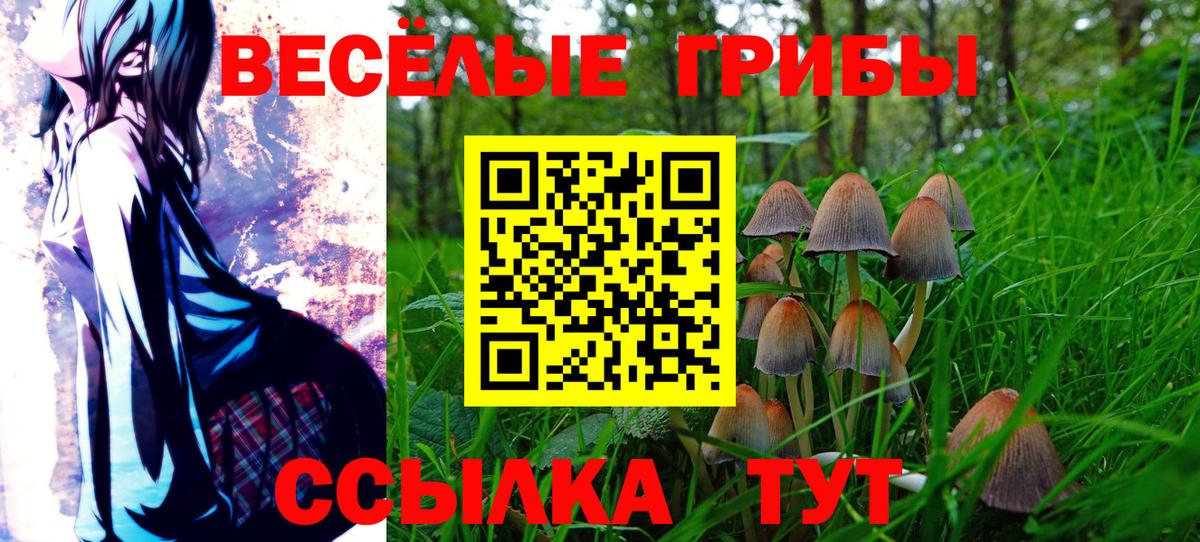 Галлюциногенные грибы MAGIC MUSHROOMS Златоуст