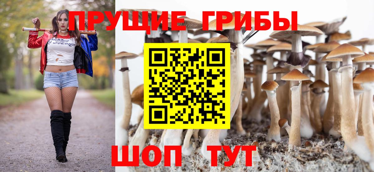 Псилоцибиновые грибы Psilocybe  Галлюциногенные грибы Magic Shrooms  Златоуст  Вход с VPN 